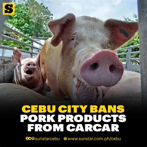 pork ban cebu pacific 2024
